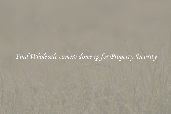 Find Wholesale camere dome ip for Property Security