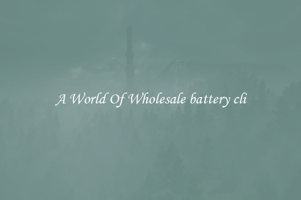 A World Of Wholesale battery cli