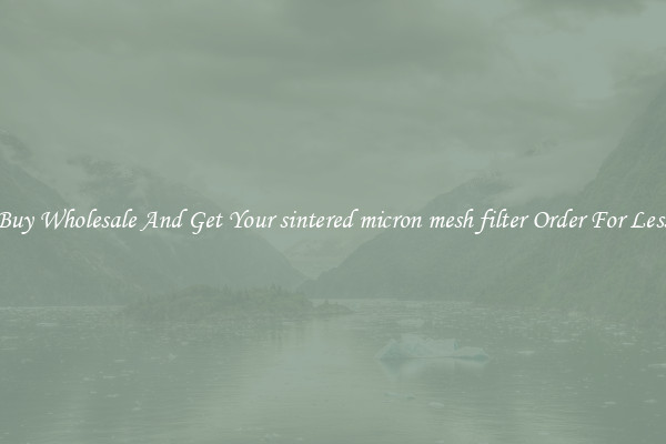 Buy Wholesale And Get Your sintered micron mesh filter Order For Less