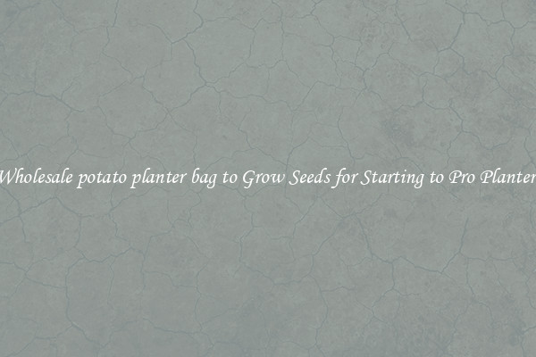 Wholesale potato planter bag to Grow Seeds for Starting to Pro Planters