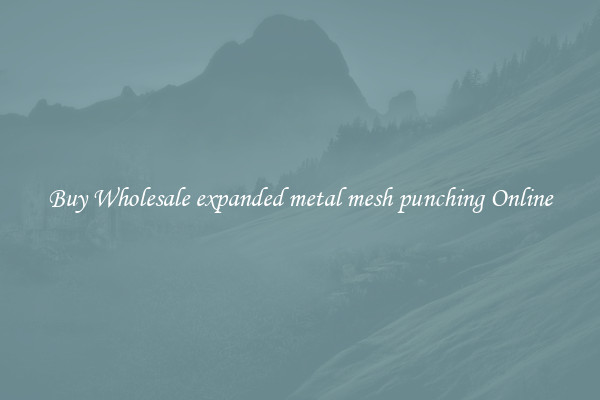 Buy Wholesale expanded metal mesh punching Online