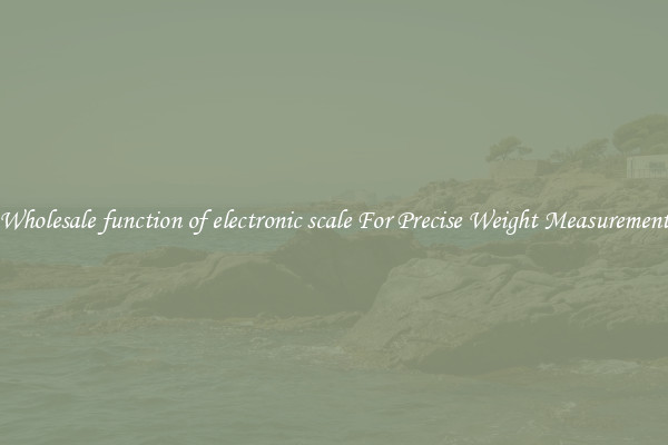 Wholesale function of electronic scale For Precise Weight Measurement