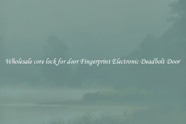 Wholesale core lock for door Fingerprint Electronic Deadbolt Door 