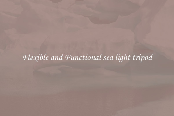 Flexible and Functional sea light tripod