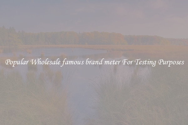 Popular Wholesale famous brand meter For Testing Purposes