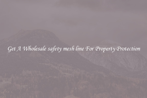 Get A Wholesale safety mesh line For Property Protection