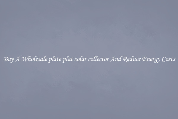 Buy A Wholesale plate plat solar collector And Reduce Energy Costs
