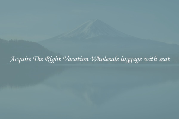 Acquire The Right Vacation Wholesale luggage with seat