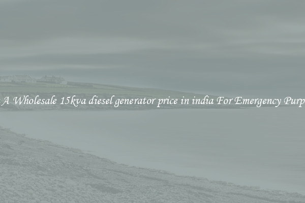 Get A Wholesale 15kva diesel generator price in india For Emergency Purposes
