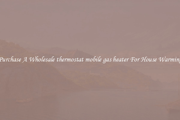 Purchase A Wholesale thermostat mobile gas heater For House Warming