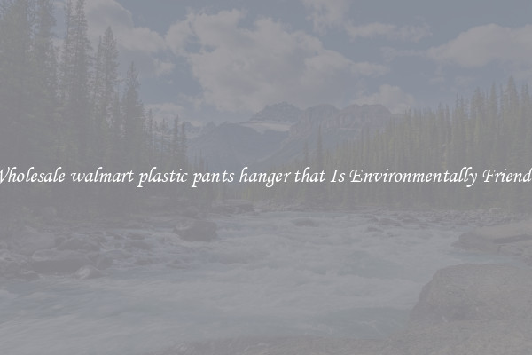 Wholesale walmart plastic pants hanger that Is Environmentally Friendly
