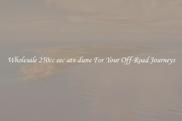 Wholesale 250cc eec atv dune For Your Off-Road Journeys