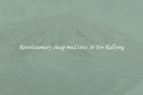 Revolutionary cheap mud tires 16 For Rallying