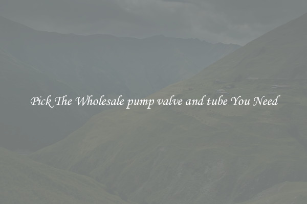 Pick The Wholesale pump valve and tube You Need