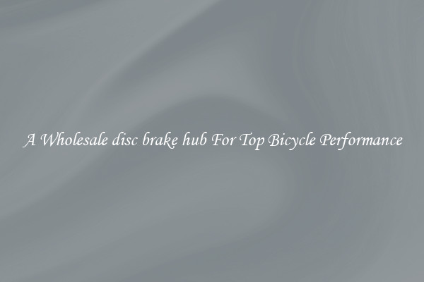A Wholesale disc brake hub For Top Bicycle Performance