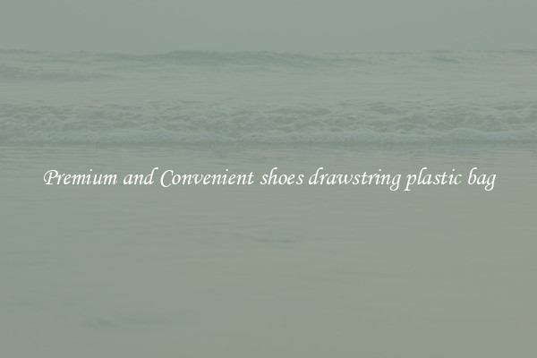 Premium and Convenient shoes drawstring plastic bag